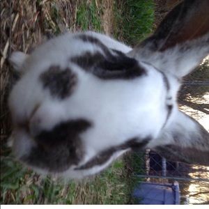 Meet your Posher, Cecilia